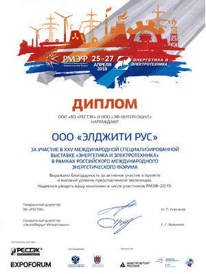 Диплом РМЭФ 2018